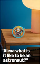 AMAZON ECHO DOT KIDS COLUNA INTELIGENTE  - NOVO