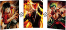QUADRO DECORATIVO - LUFFY E SANJI , ZORO - DIMENSÃO 66.5CM X 31CM X 46.5CM