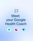 PULSEIRA FITBIT AIR , GERENCIAMENTO DE STRESS , INTENSIDADE DE TREINO , RASTREADOR DE SONO , FREQUÊNCIA CARDÍACA- NOVO