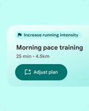 PULSEIRA FITBIT AIR , GERENCIAMENTO DE STRESS , INTENSIDADE DE TREINO , RASTREADOR DE SONO , FREQUÊNCIA CARDÍACA- NOVO