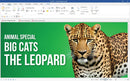 SoftMaker-FlexiPDF 2025 ( 3 Dispositivos)- Windows- Envio por Email/WhatsApp