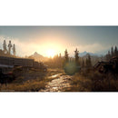 DAYS GONE PS4  - NOVO