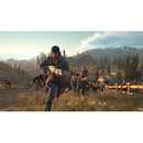 DAYS GONE PS4  - NOVO
