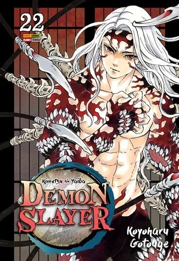 Demon Slayer Vol. 22