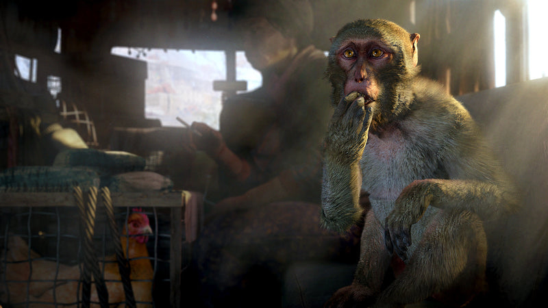 FAR CRY 4 - SEMINOVO - PS4