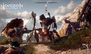 HORIZON ZERO DAWN - SEMINOVO - PS4
